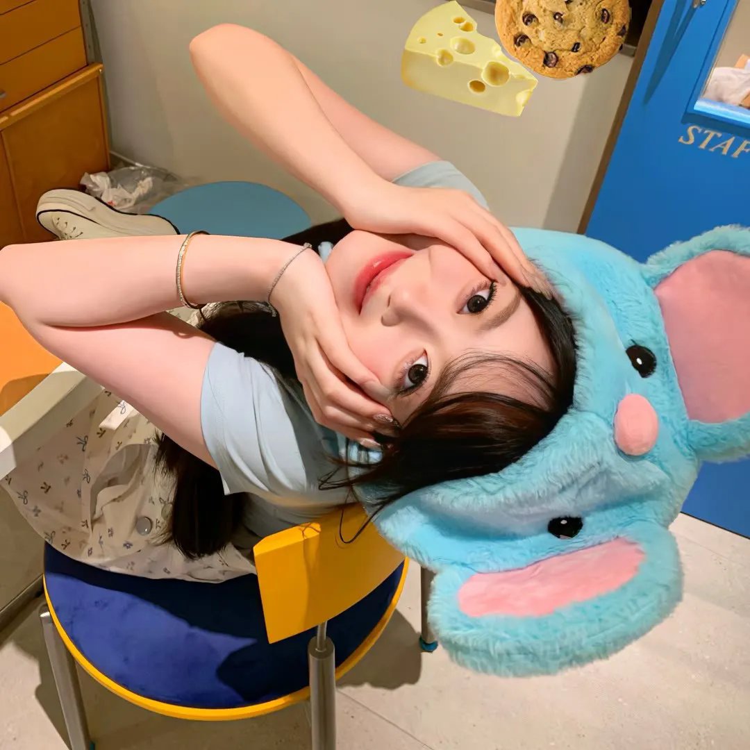 他不笨它是我的心肝宝贝